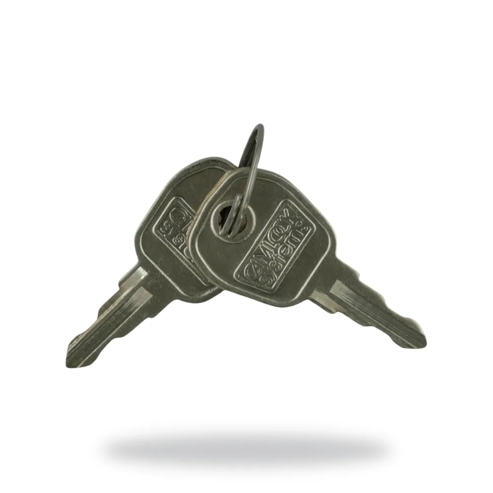 Gent by Honeywell Set of 2 Keys for Key switch Interface & MCP