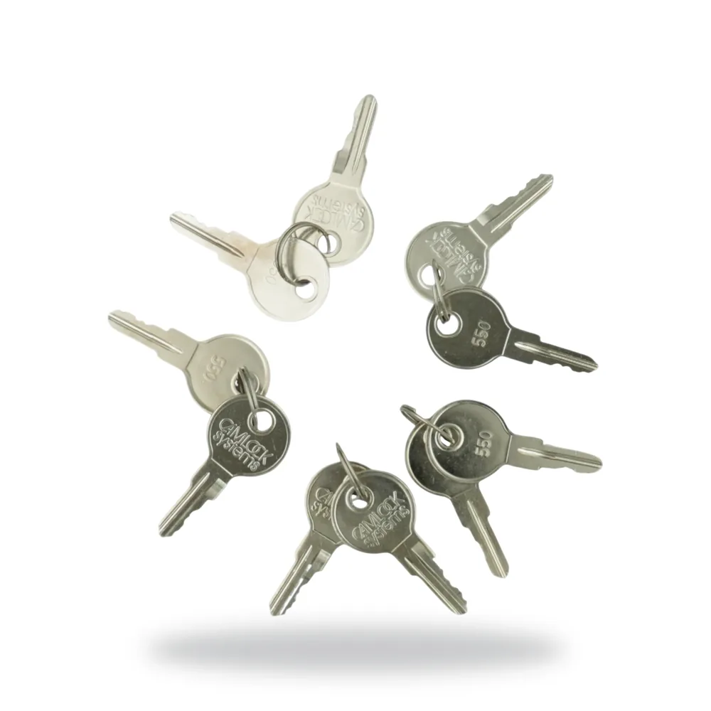 Gent by Honeywell Spare Key for Vigilon and Compact Outer Door (Pack of 10)